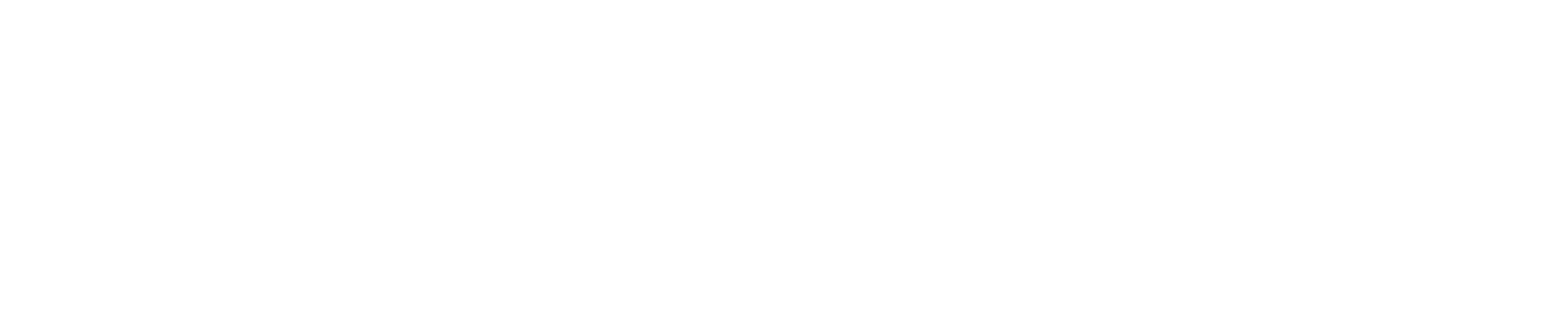 Delvento logo - white